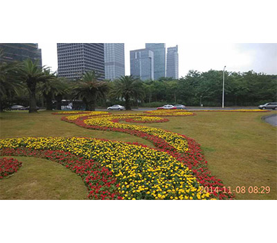 d20151031175933762.jpg