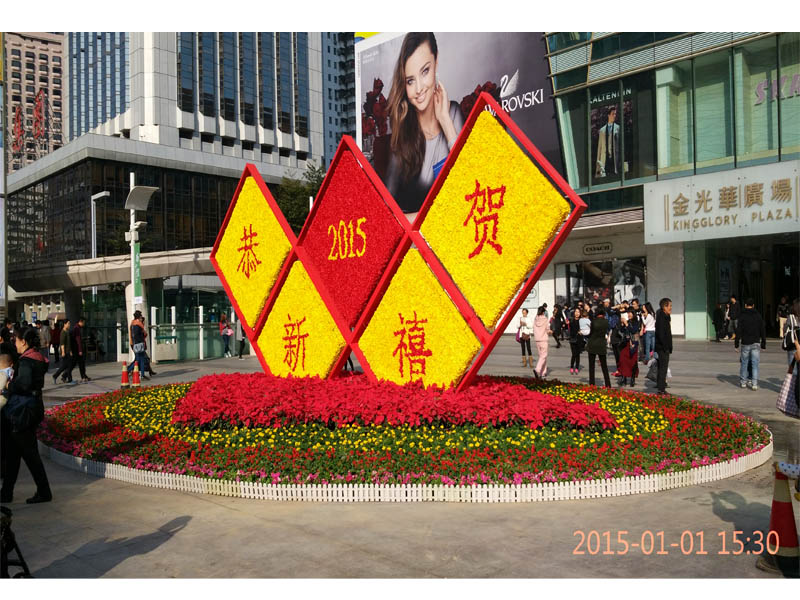 d2015112165519484.jpg