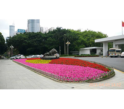 d20151031175754659.jpg