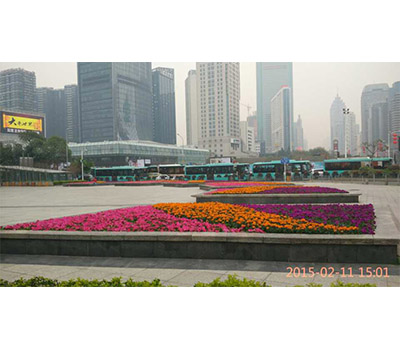 d20151031175855471.jpg