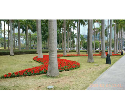 d2015103117586656.jpg