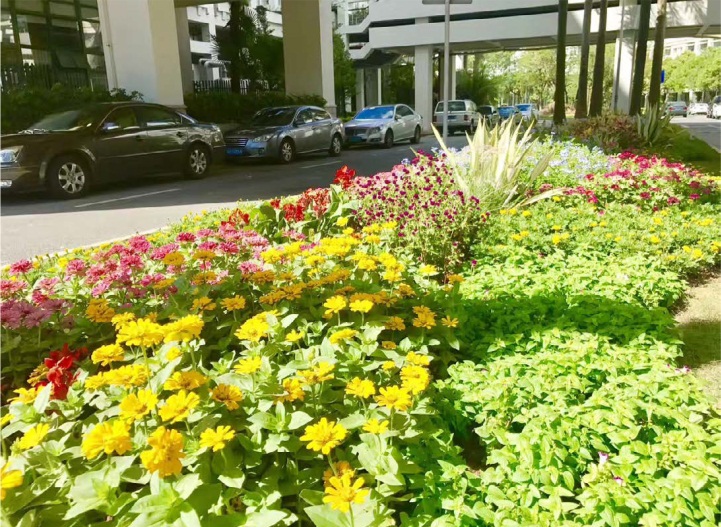 第十九屆植物學(xué)大會(huì)7.JPG