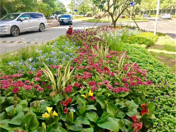 第十九屆植物學(xué)大會(huì)6.JPG