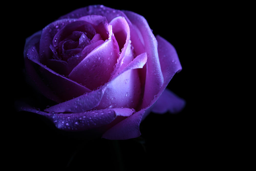 6309-110R916035585.jpg