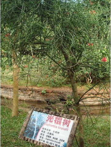 QQ截圖20160924115354.jpg