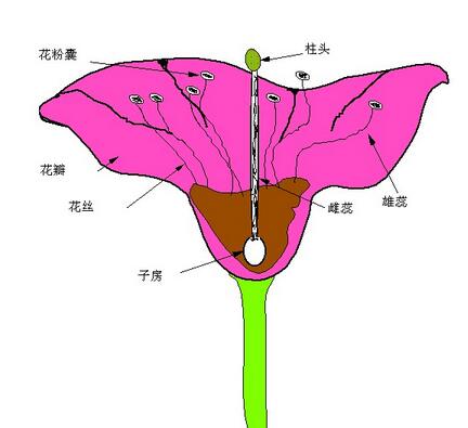 QQ截圖20161207114046.jpg